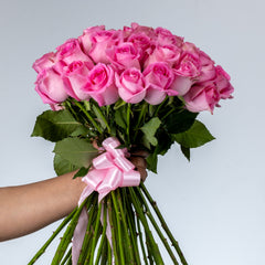 Bunch of Pink Roses