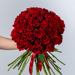 Bunch of Red Roses