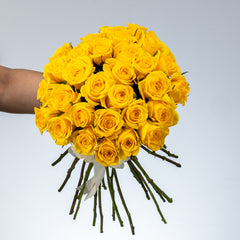 Bunch of Yellow Roses