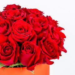 Classic Red Box Arrangement