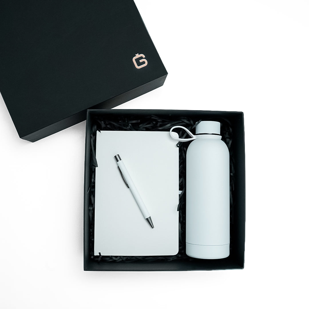 Modern Executive Starter Kit