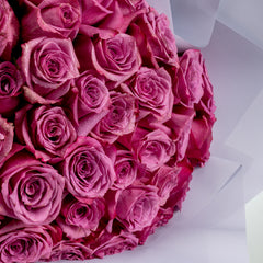 Bouquet of purple Rose