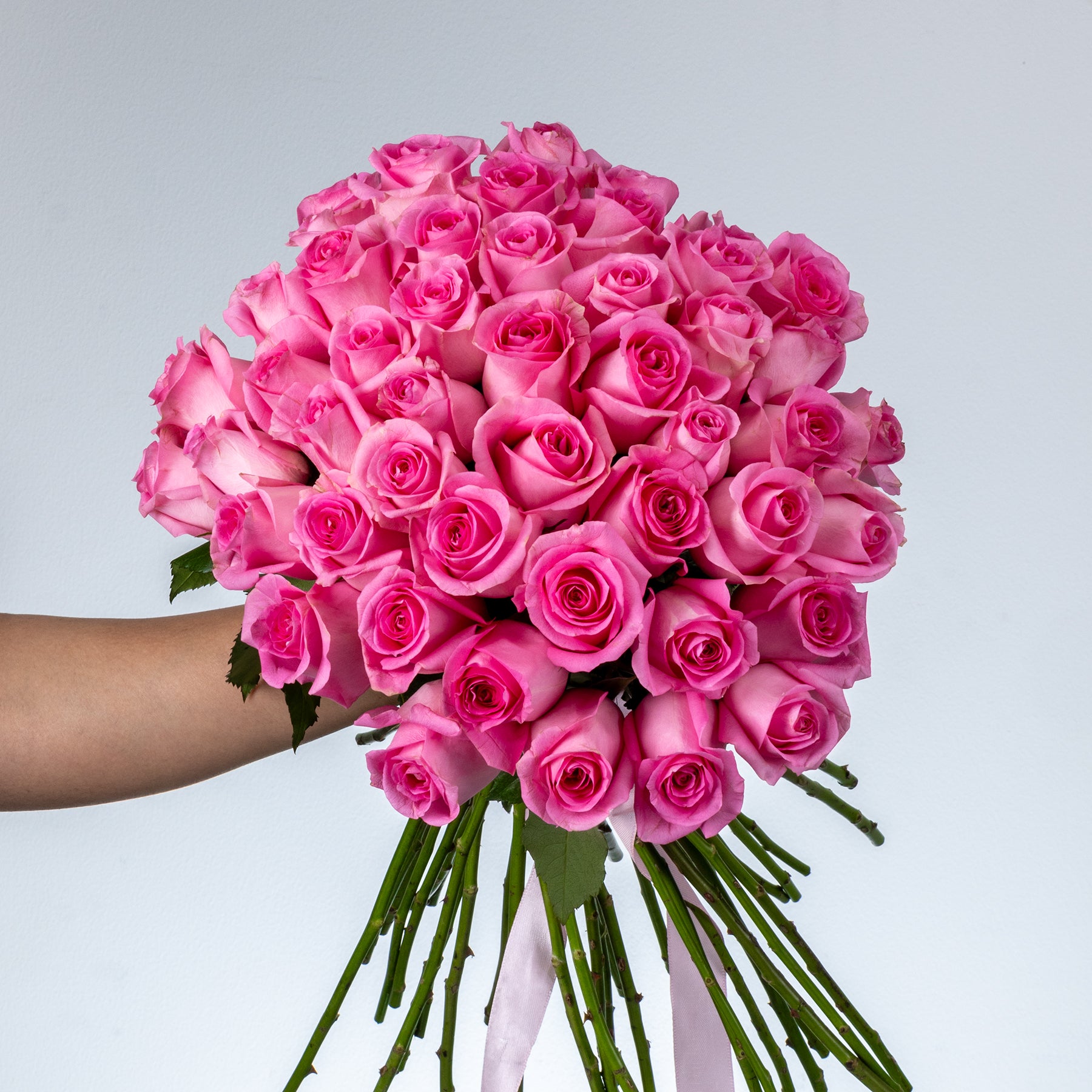 Bunch of Pink Roses
