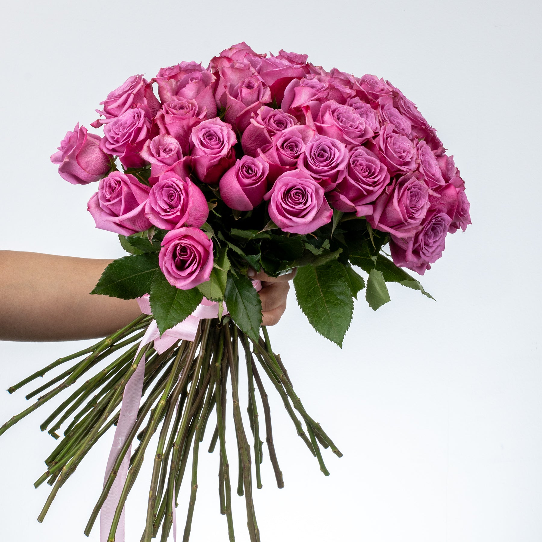 Bunch of Purple Roses