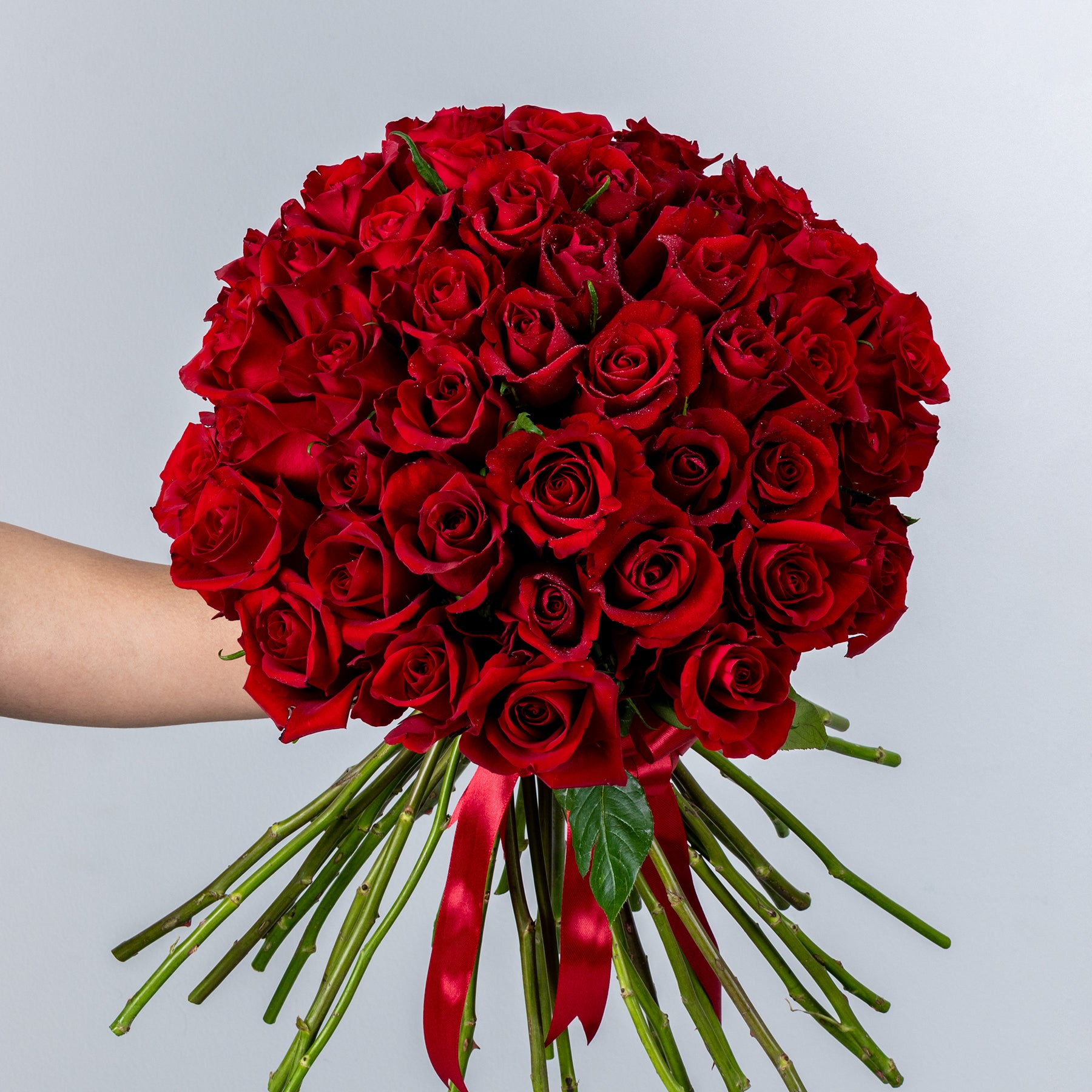 Bunch of Red Roses