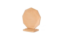 The Sustainable Achievement Trophy