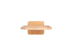 The Sustainable Achievement Trophy